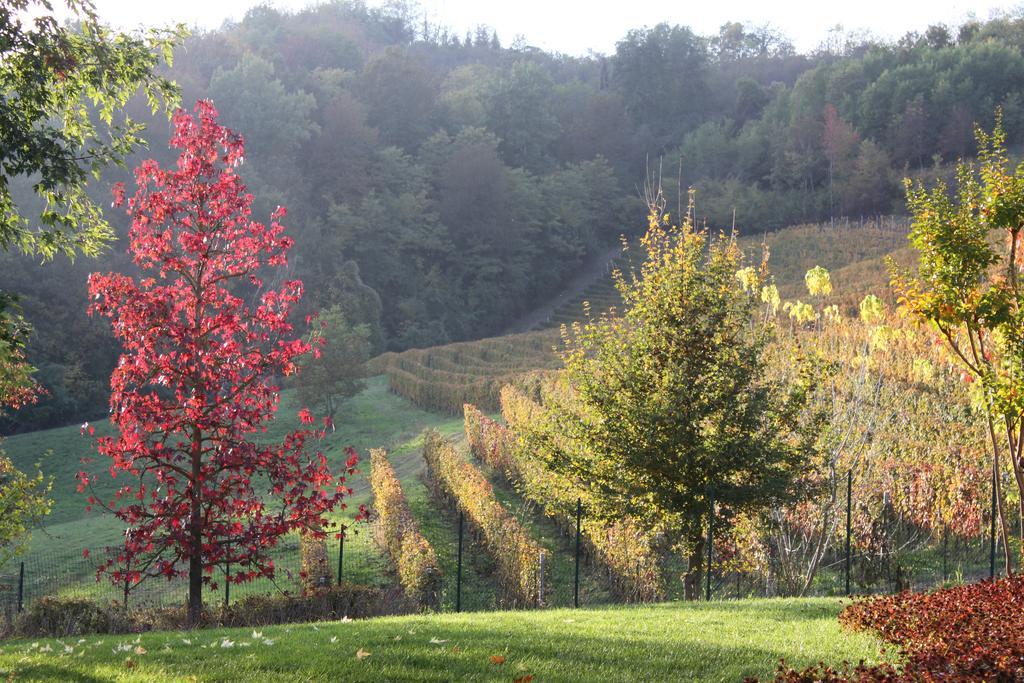 B&B Bricco Fiore Briaglia Luaran gambar